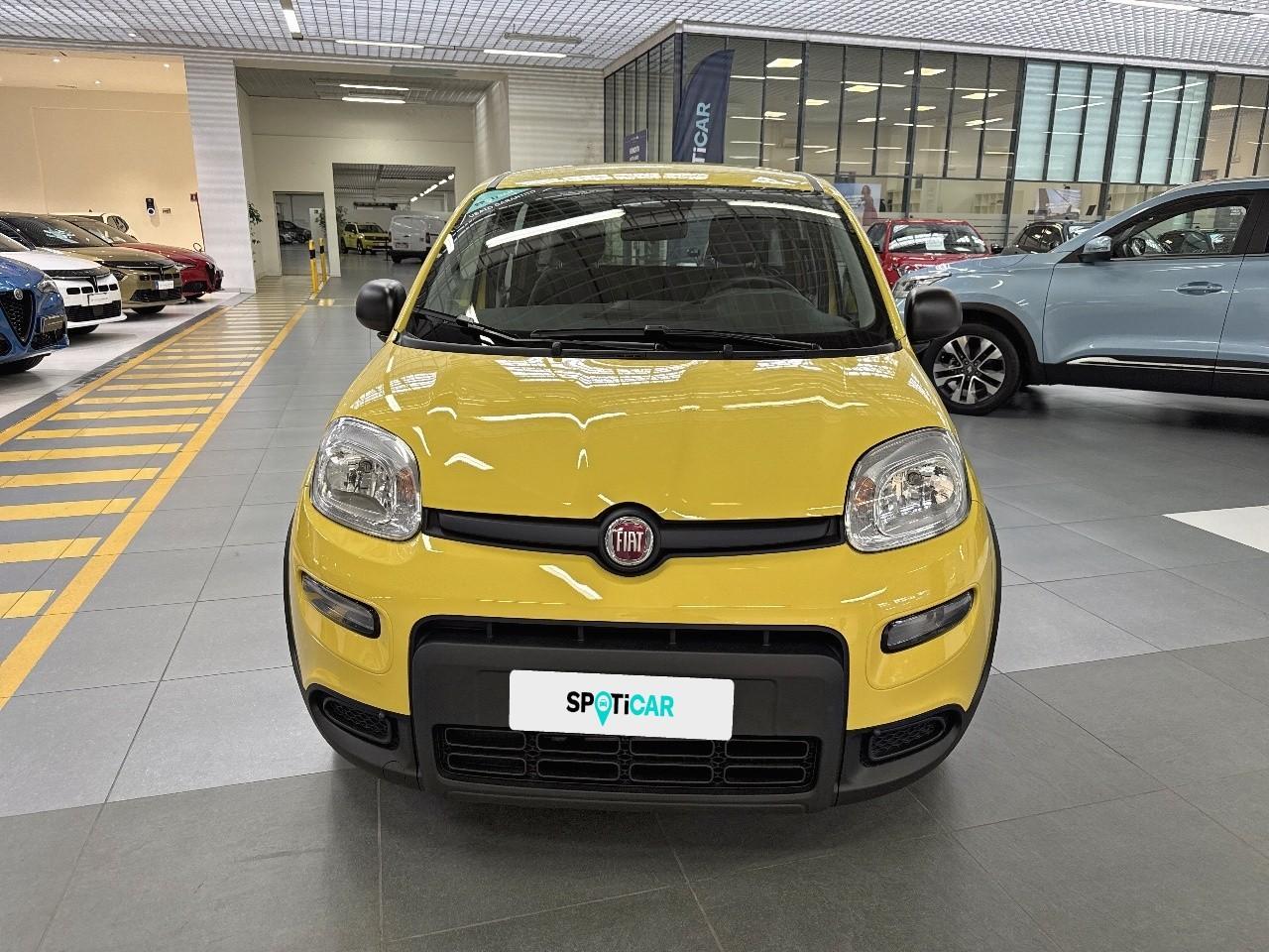 Fiat Fiat Panda usata, con chiusura centralizzata a distanza