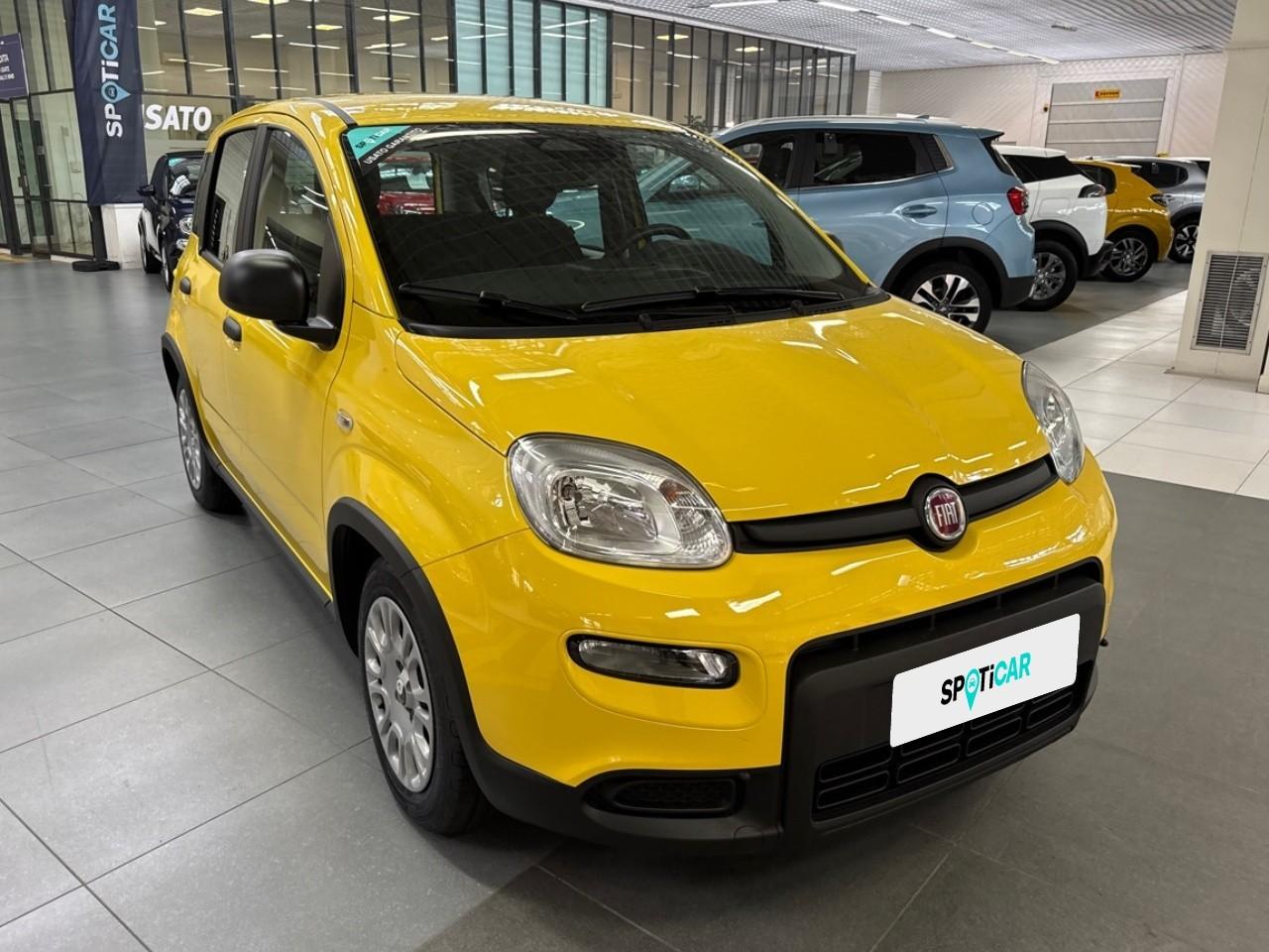 Fiat Fiat Panda usata, con climatizzatore