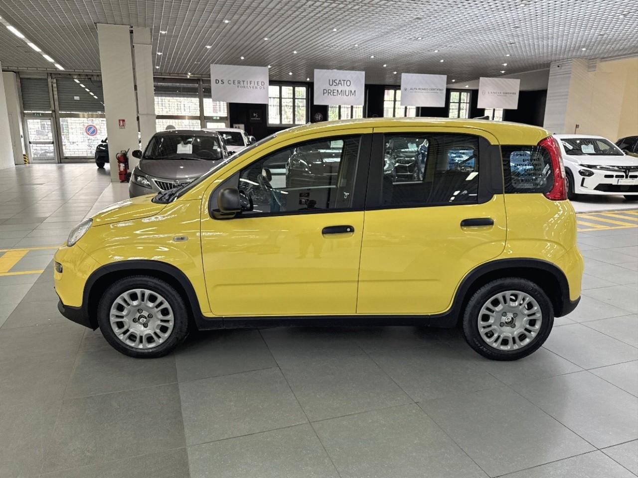 Fiat Fiat Panda usata, con comando luci manuale
