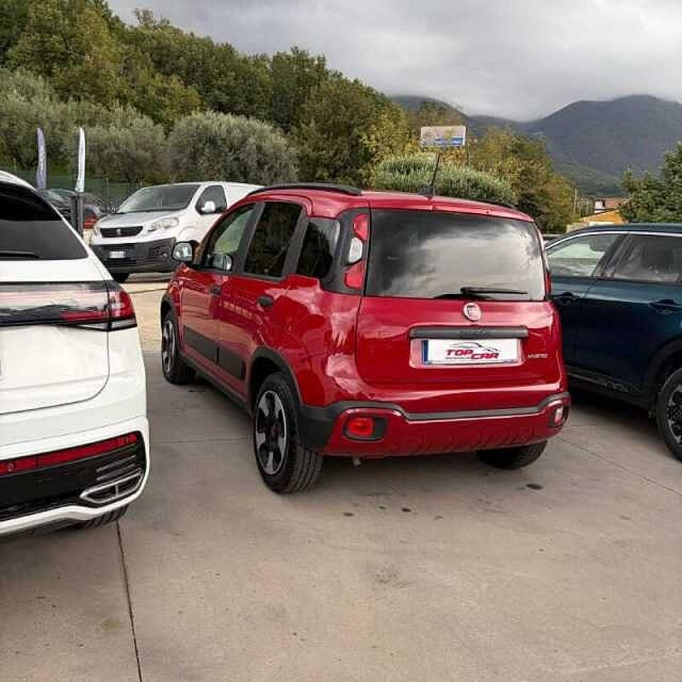 Fiat Fiat Panda usata 13