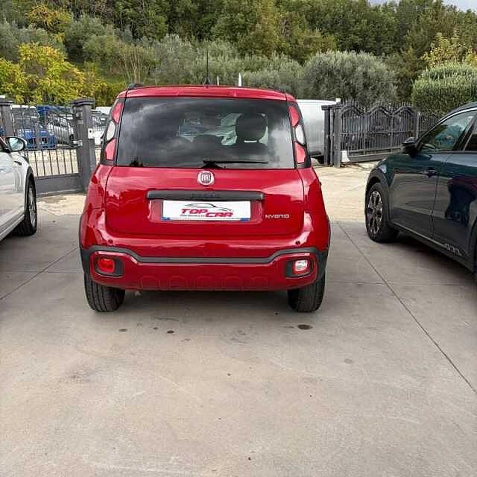 Fiat Fiat Panda usata 14