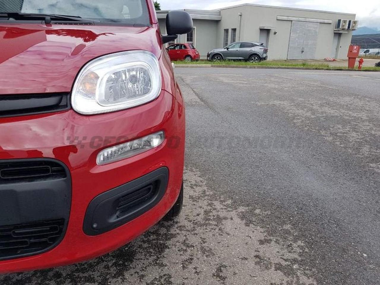 Fiat Fiat Panda usata, con Rivestimento interno