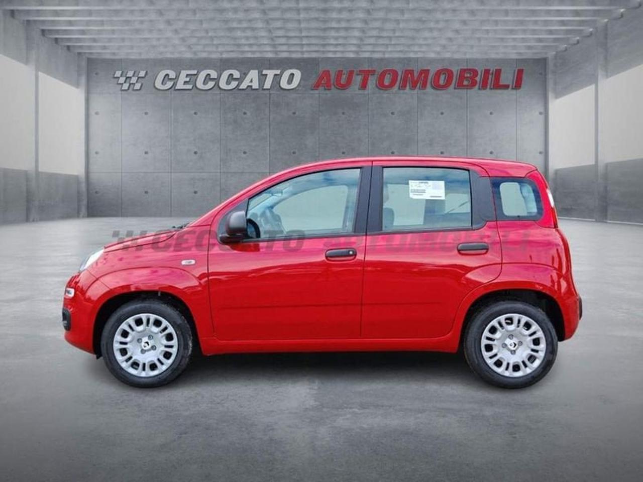 Fiat Fiat Panda usata, con Tetto Panoramico
