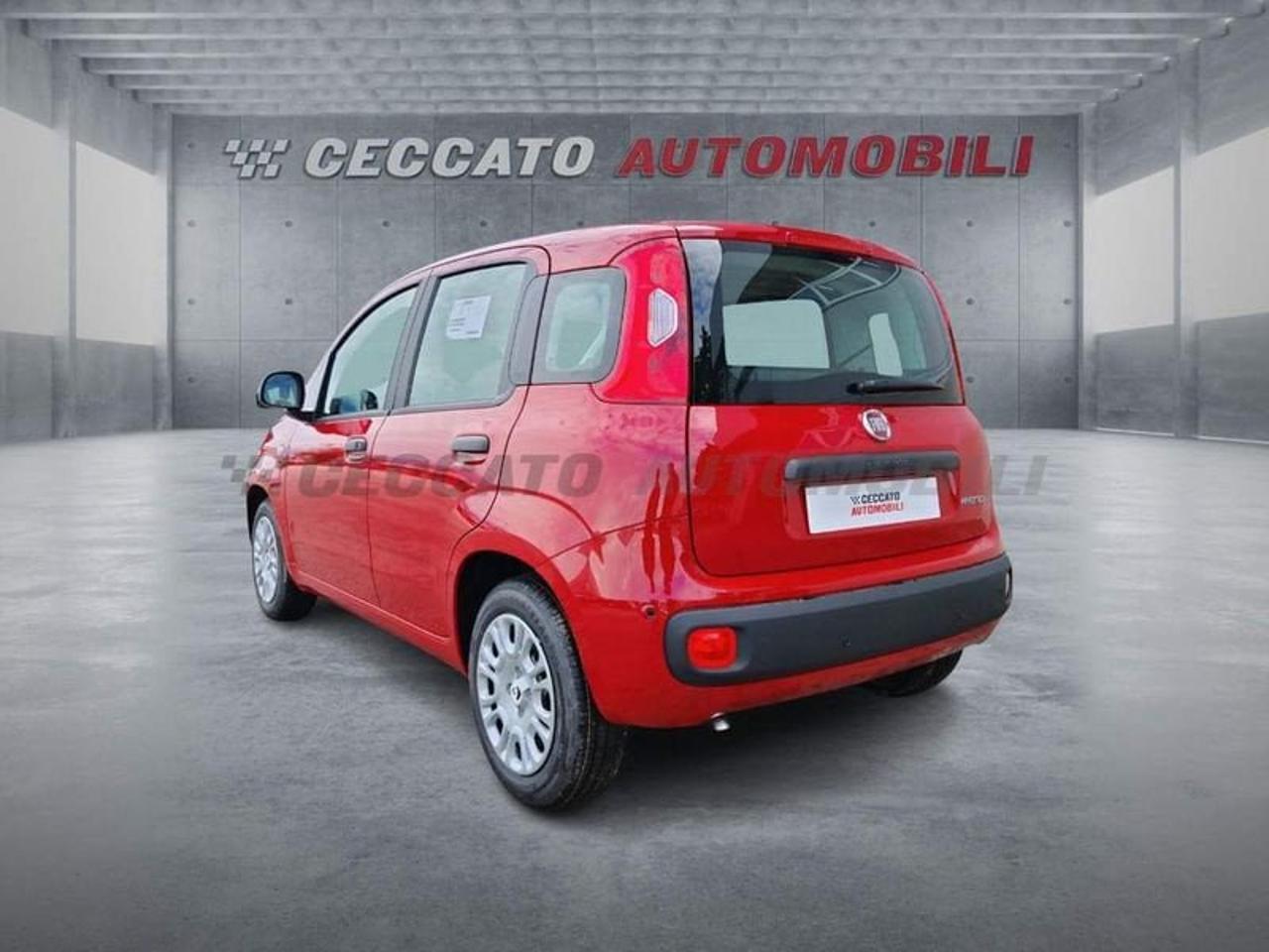 Fiat Fiat Panda usata 16