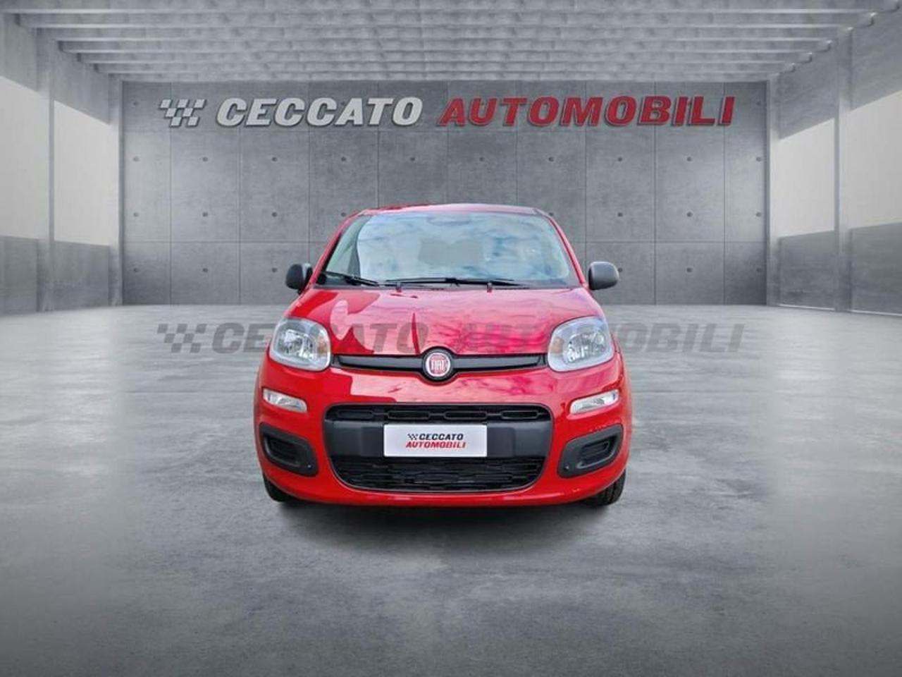 Fiat Fiat Panda usata 17