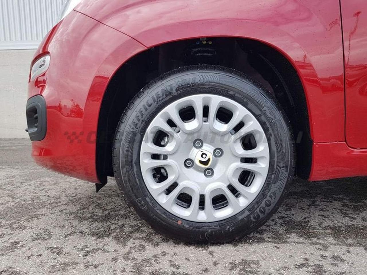 Fiat Fiat Panda usata 19