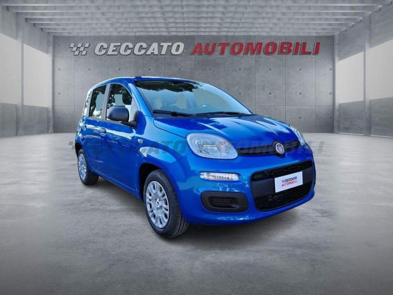 Fiat Fiat Panda usata, con Mirror Screen