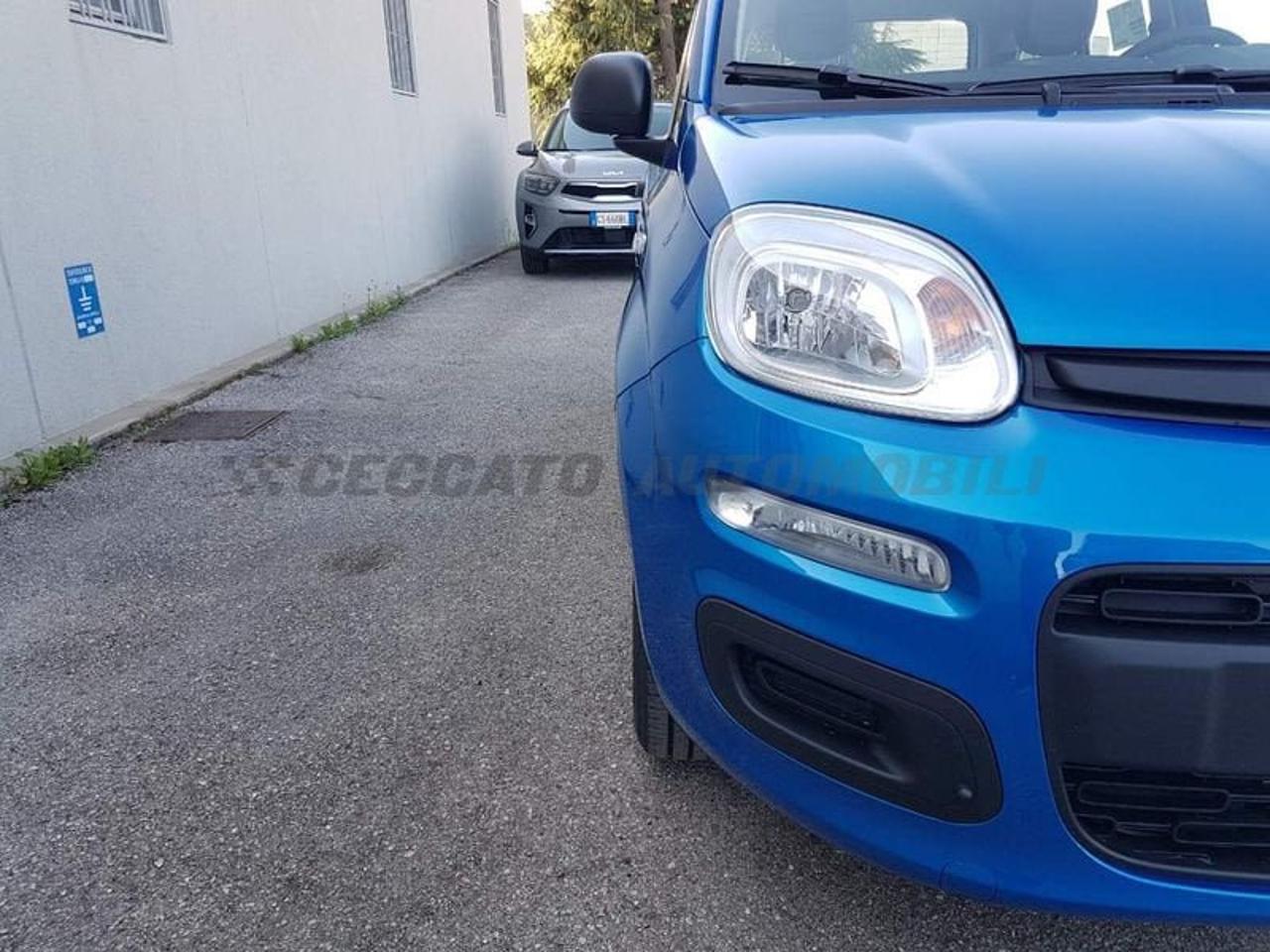 Fiat Fiat Panda usata, con Rivestimento interno