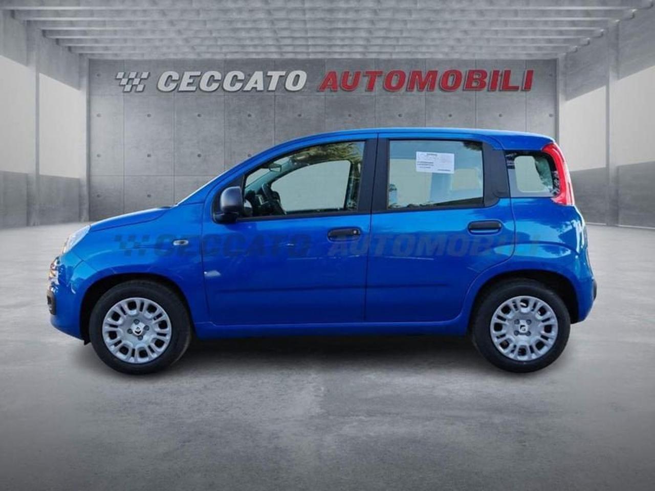 Fiat Fiat Panda usata, con Tetto Panoramico