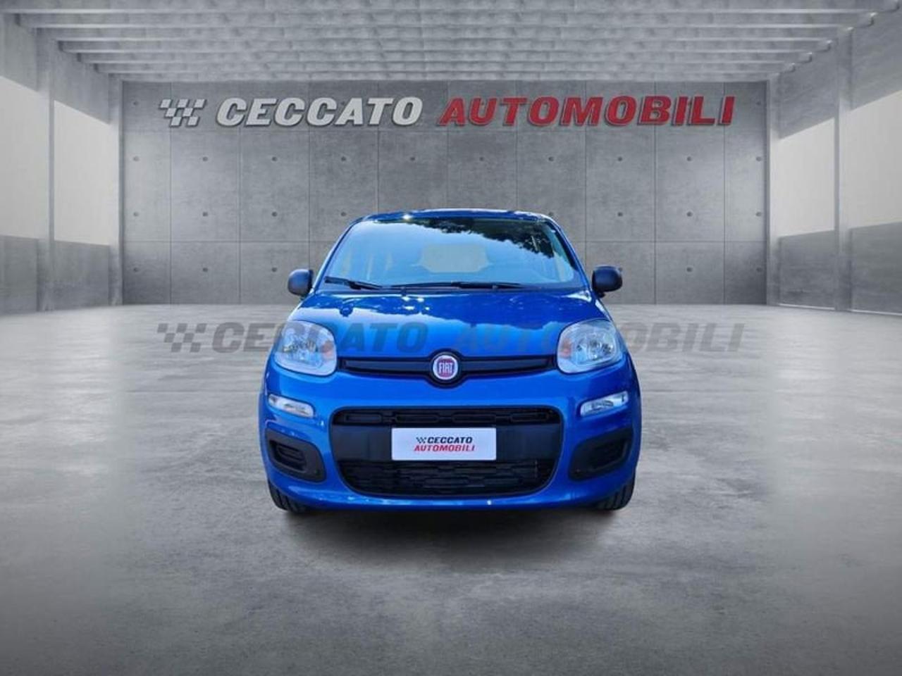 Fiat Fiat Panda usata 17