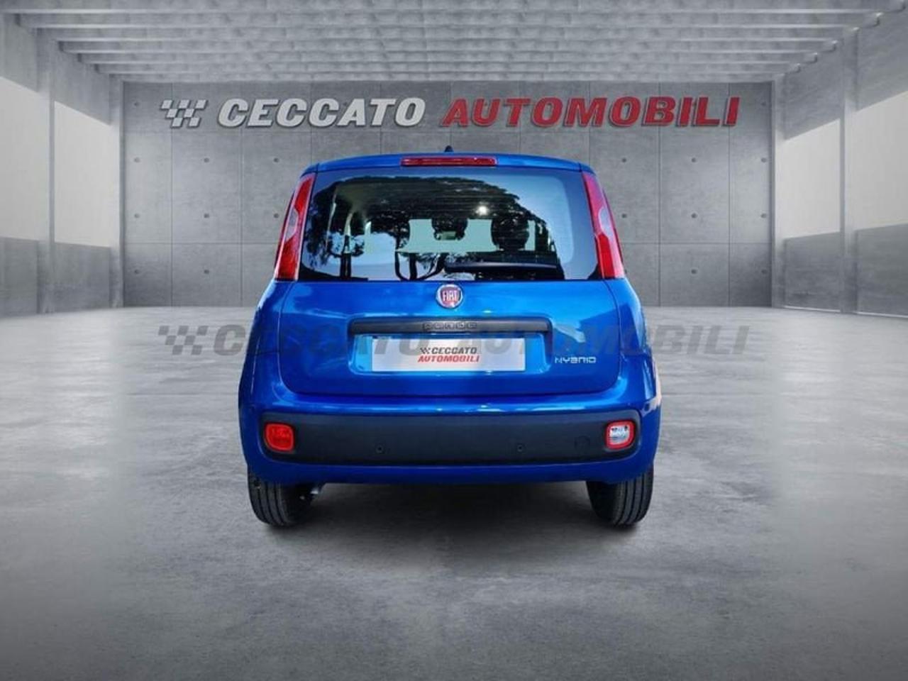 Fiat Fiat Panda usata 18