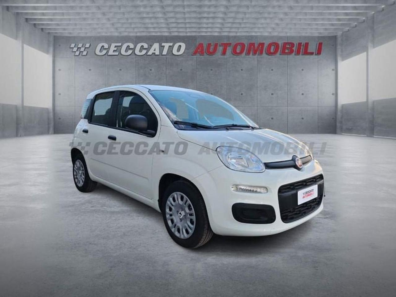 Fiat Fiat Panda usata, con Mirror Screen