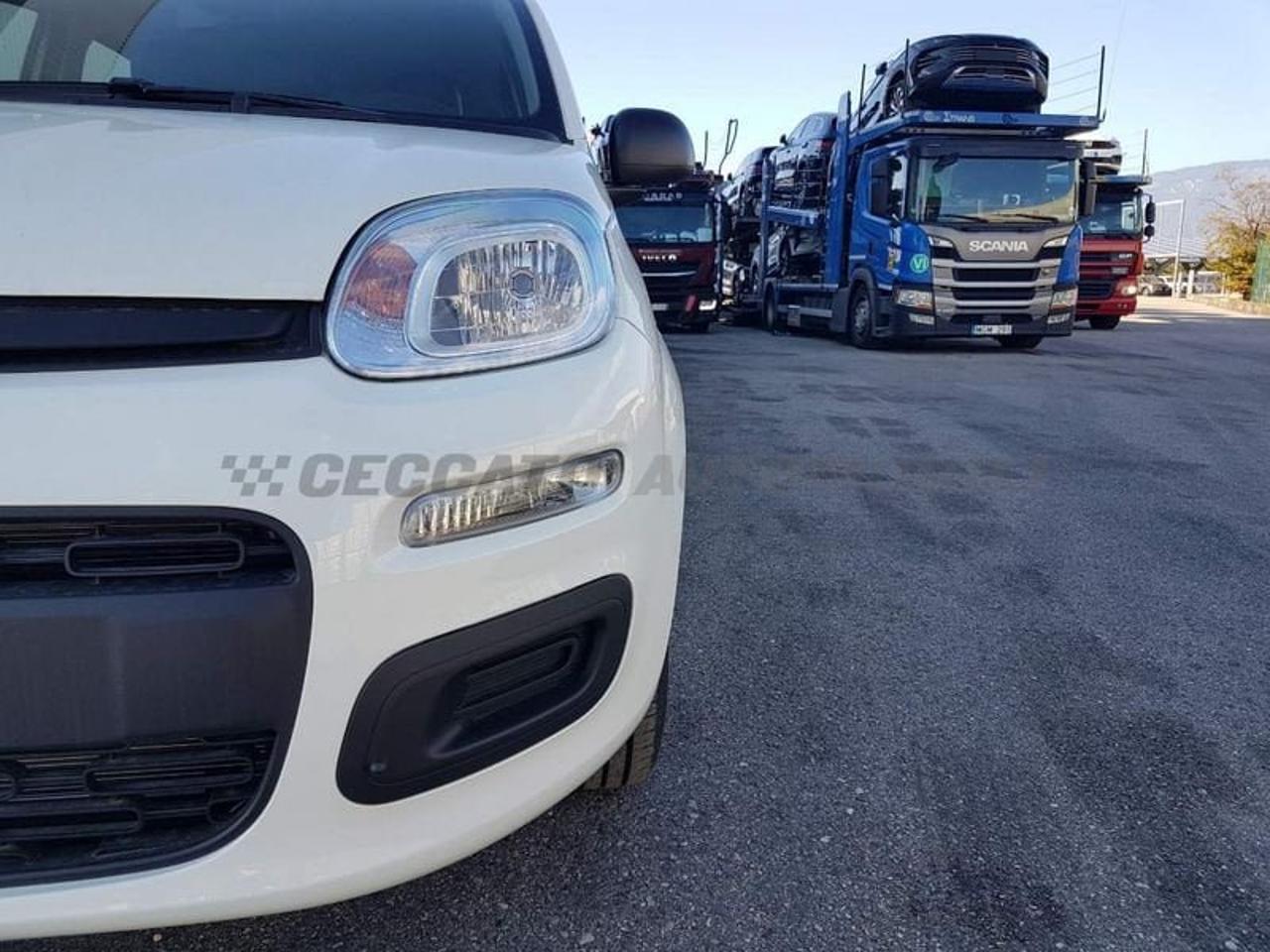 Fiat Fiat Panda usata, con Rivestimento interno