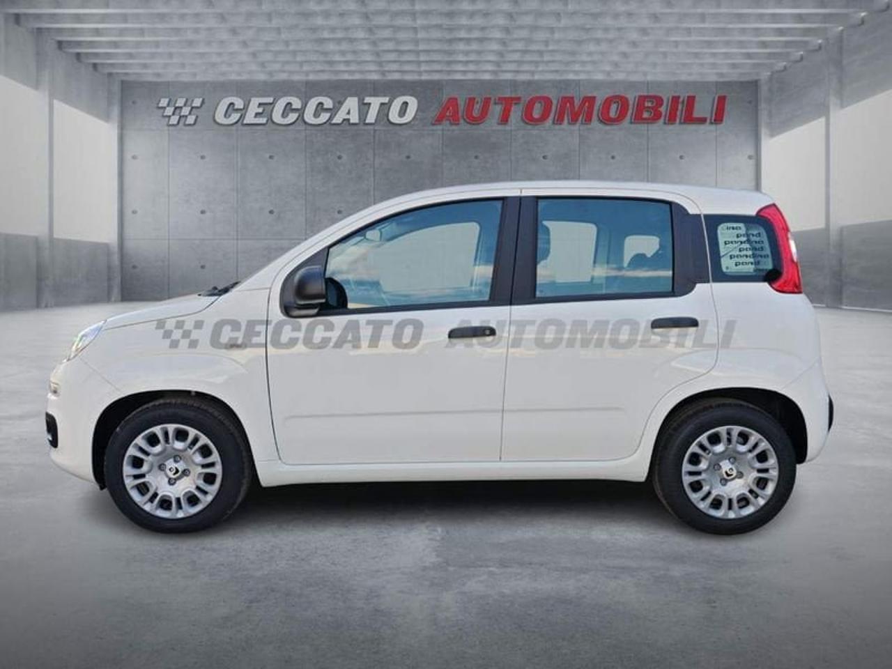 Fiat Fiat Panda usata, con Tetto Panoramico