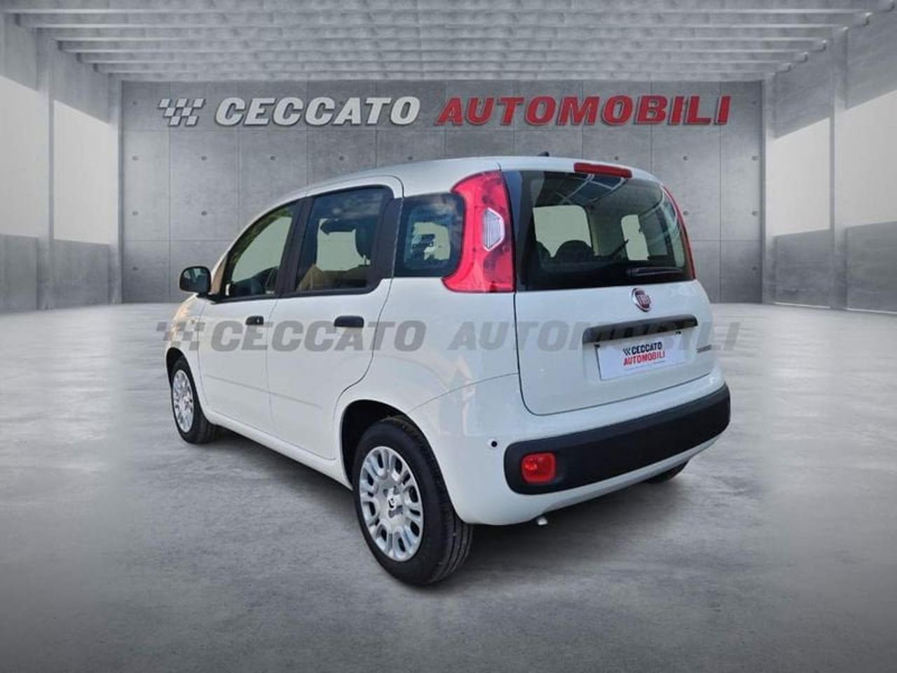 Fiat Fiat Panda usata 16