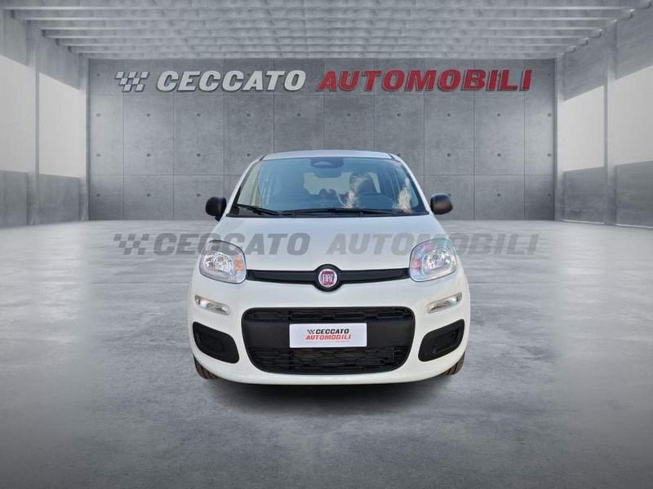 Fiat Fiat Panda usata 17