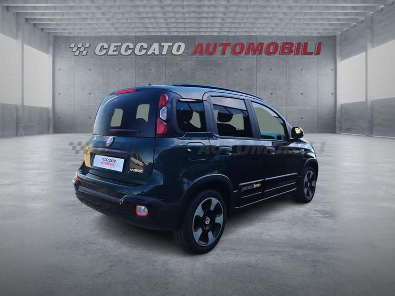 Fiat Fiat Panda usata, con Portapacchi