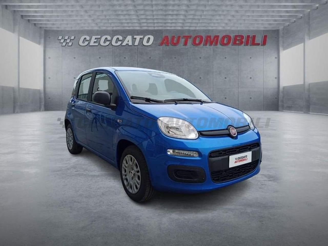 Fiat Fiat Panda usata 15