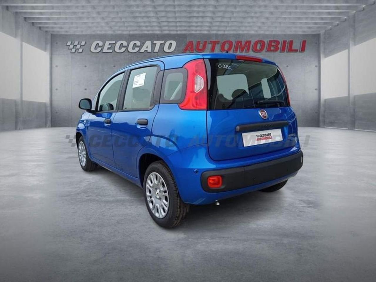 Fiat Fiat Panda usata 18