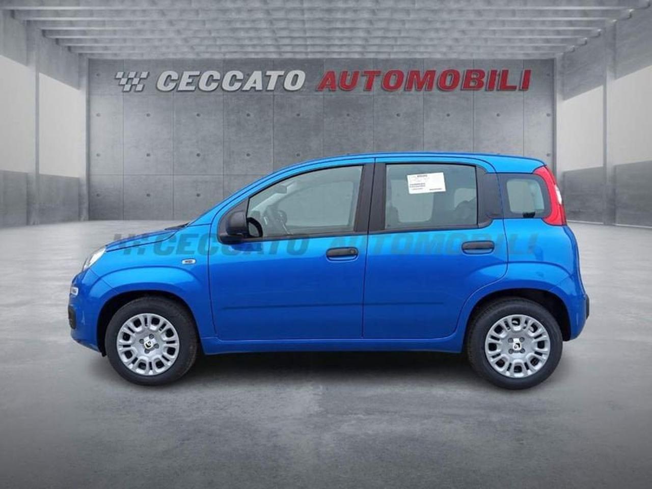 Fiat Fiat Panda usata 19