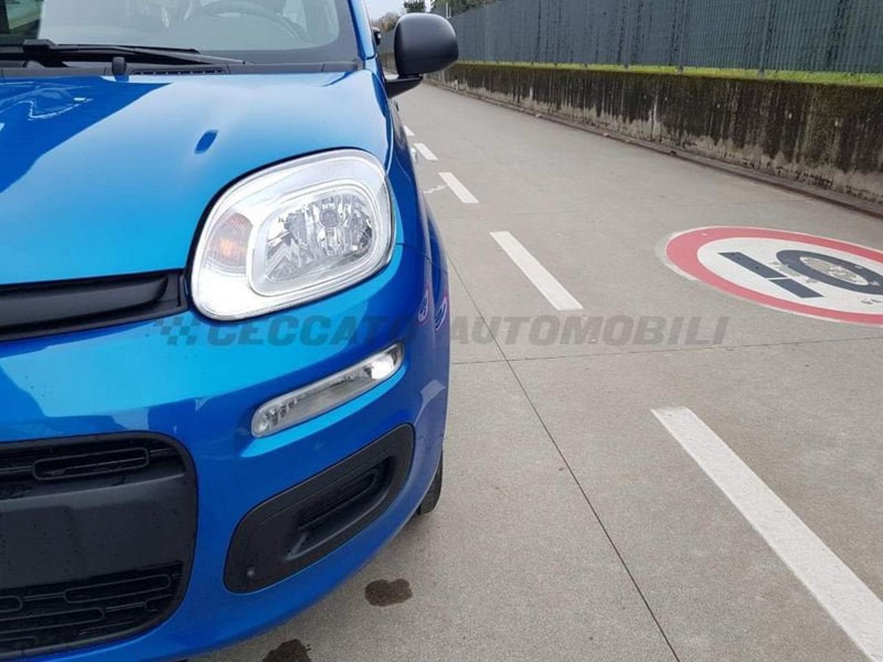 Fiat Fiat Panda usata 20