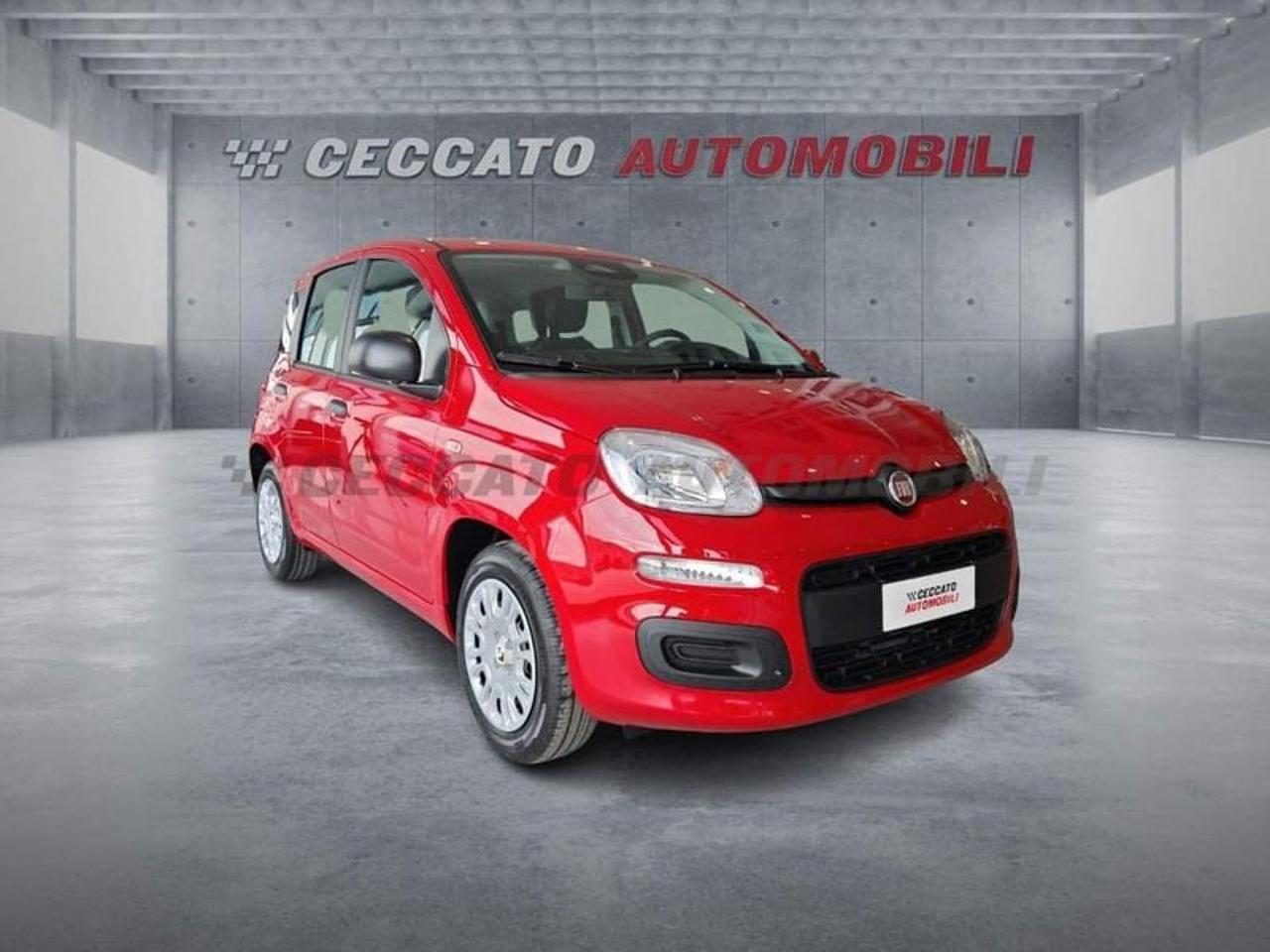 Fiat Fiat Panda usata, con Mirror Screen