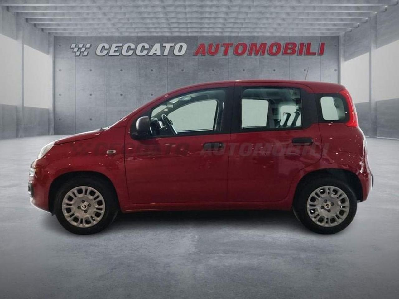 Fiat Fiat Panda usata, con Tetto Panoramico