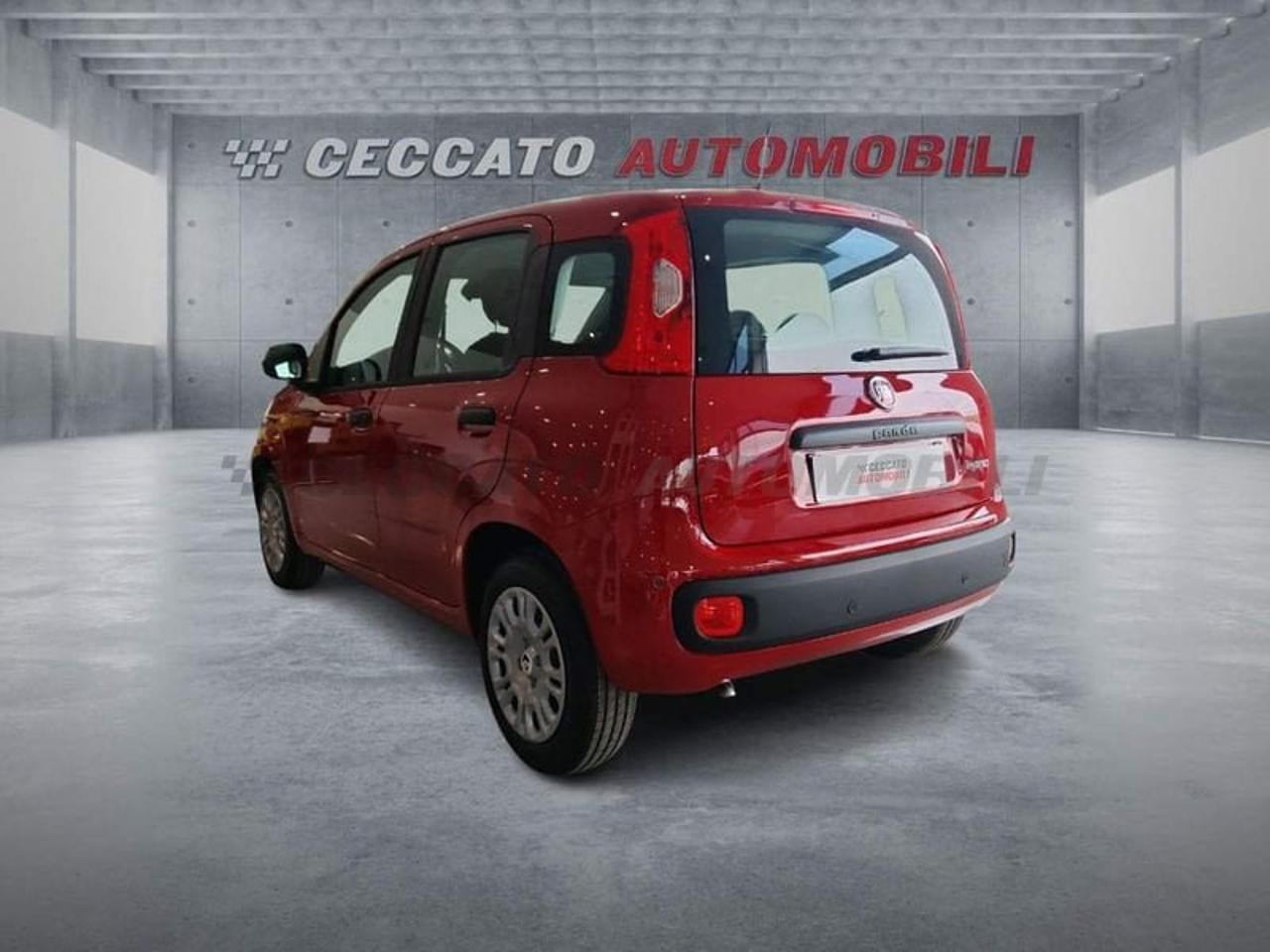 Fiat Fiat Panda usata 16