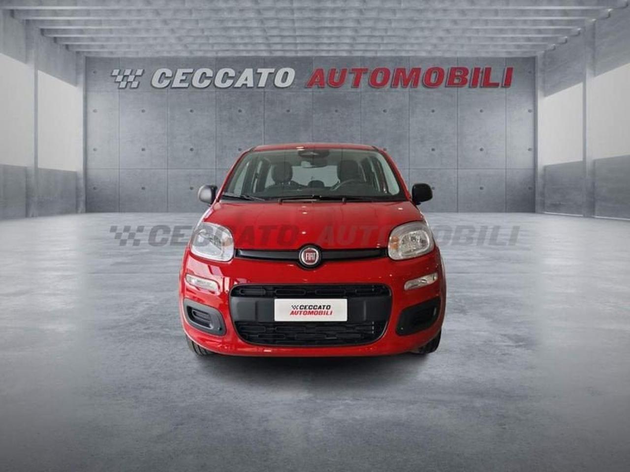 Fiat Fiat Panda usata 17