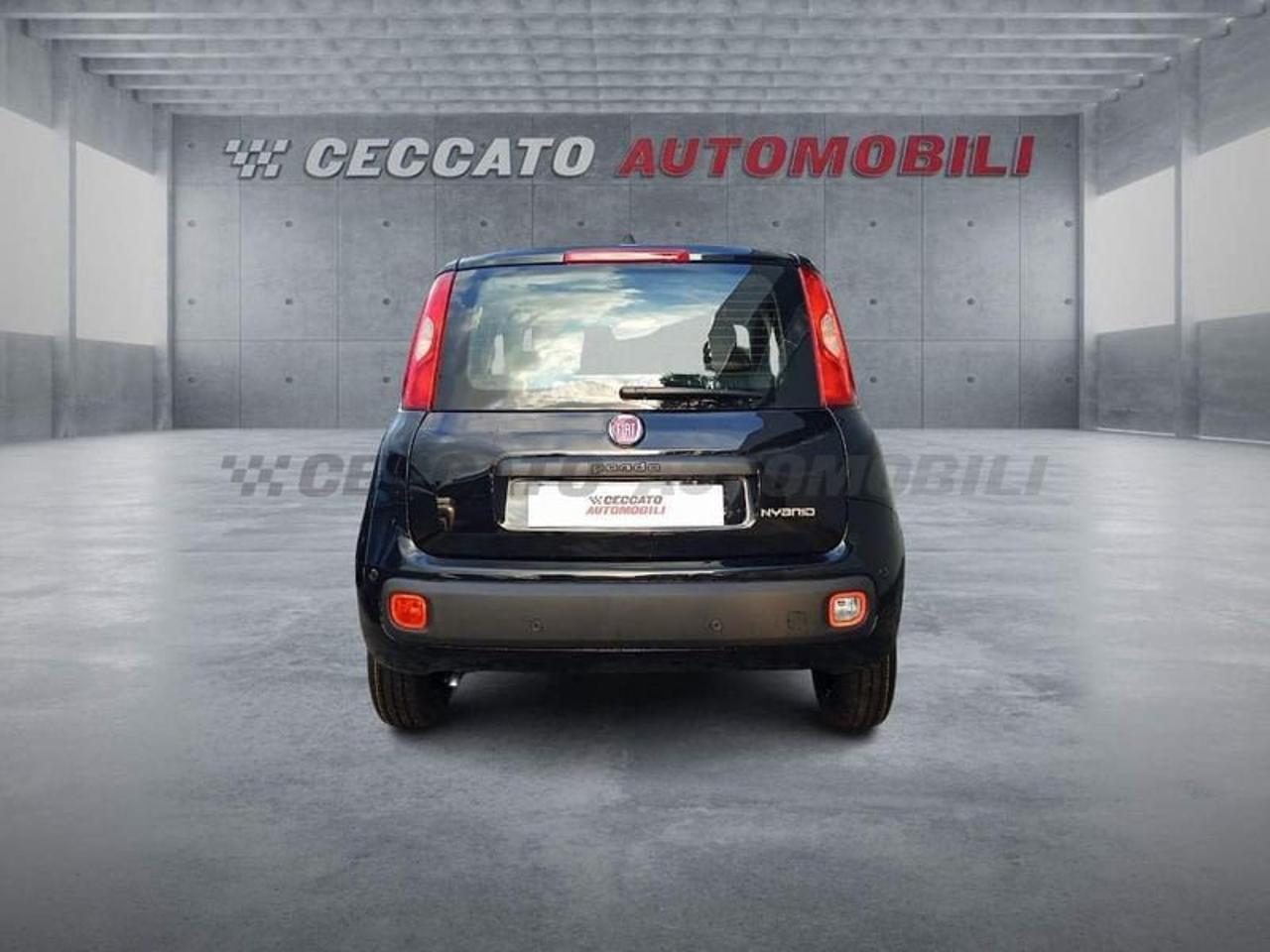 Fiat Fiat Panda usata 16
