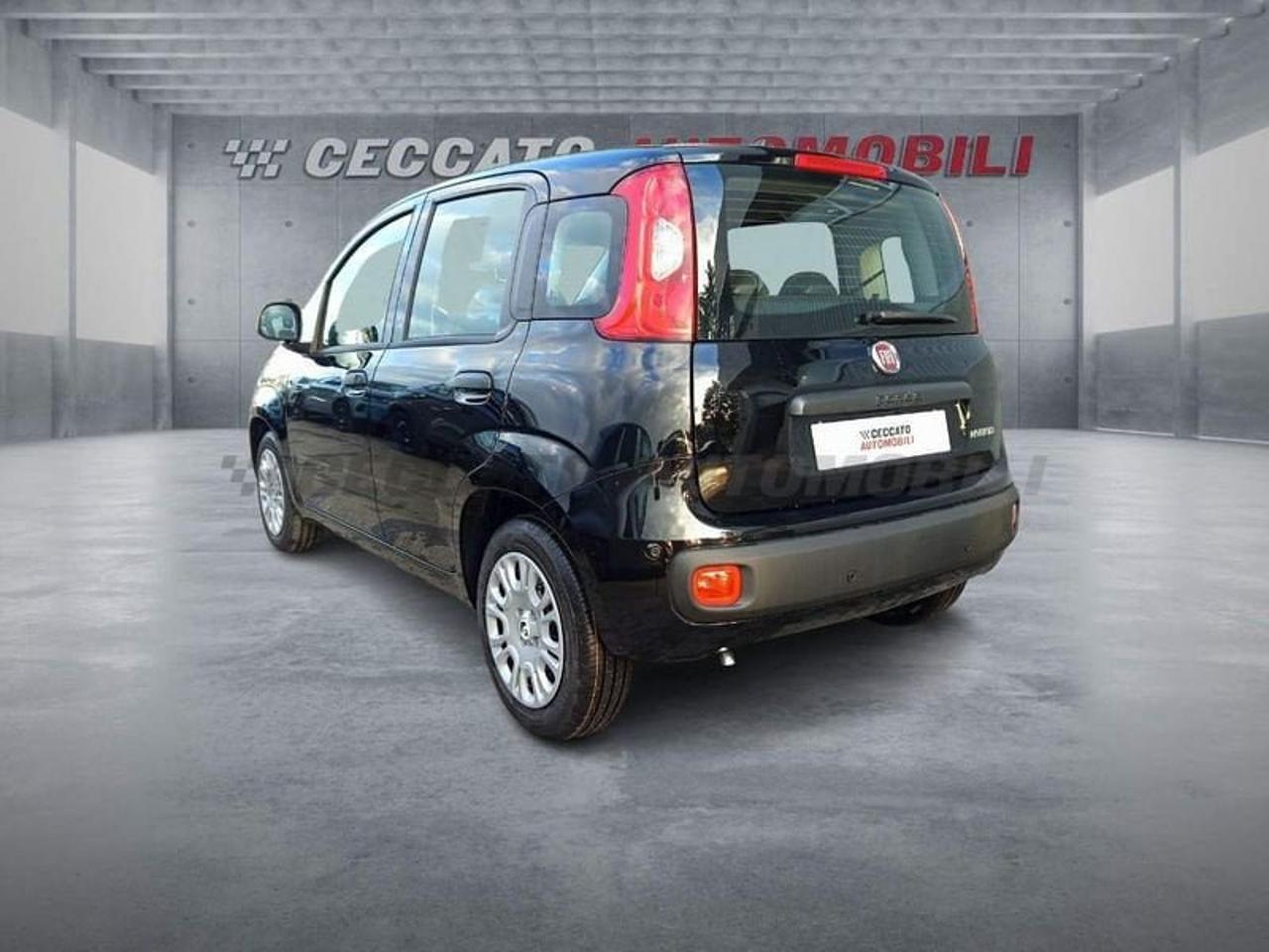Fiat Fiat Panda usata 17
