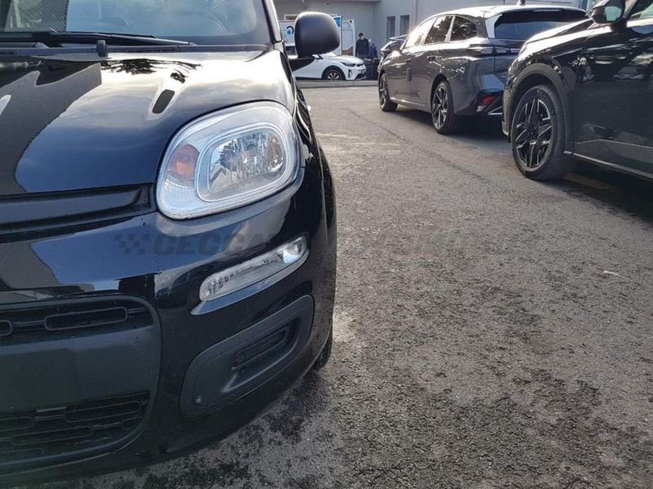 Fiat Fiat Panda usata 18