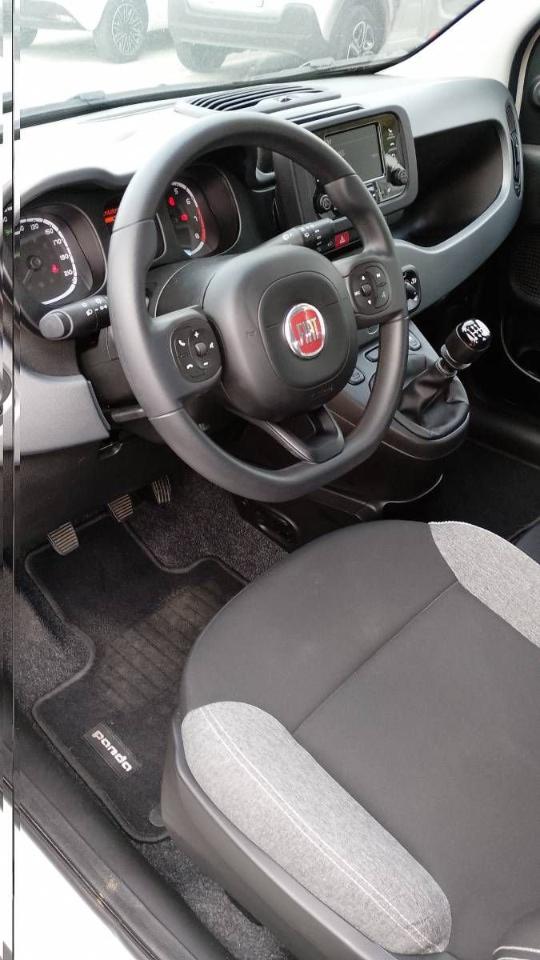 Fiat Fiat Panda usata, con Caricabatterie di bordo da 7,4 kW