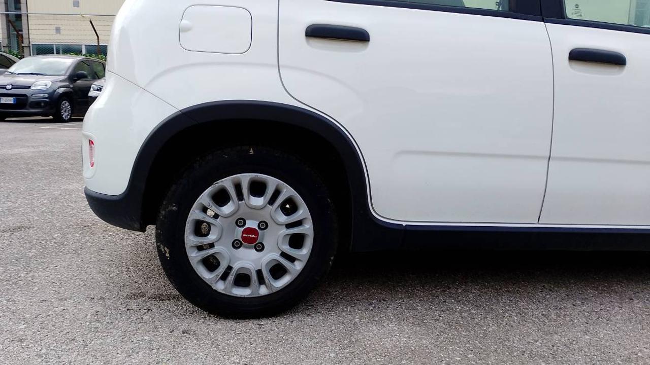 Fiat Fiat Panda usata, con Portapacchi