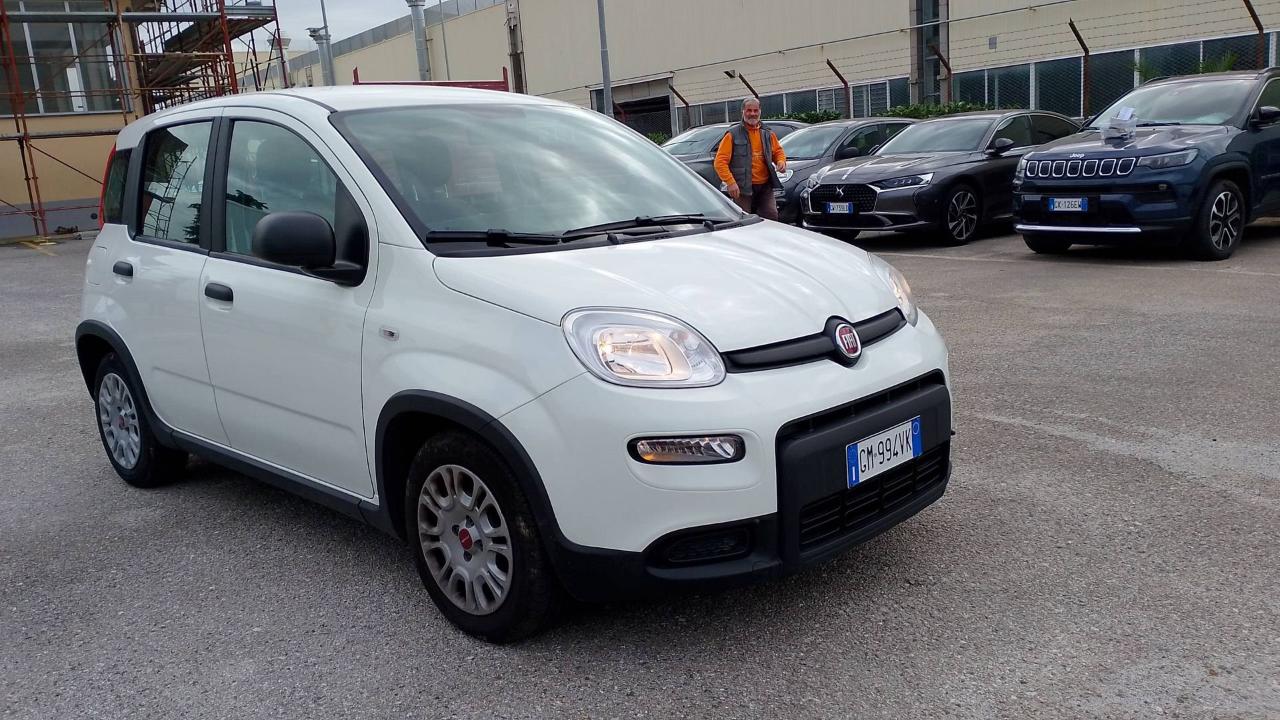 Fiat Fiat Panda usata, con Rivestimento interno
