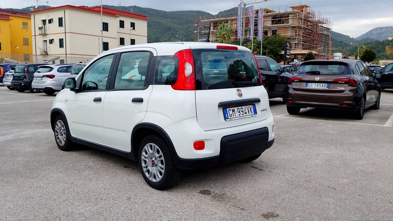 Fiat Fiat Panda usata, con Tetto Panoramico