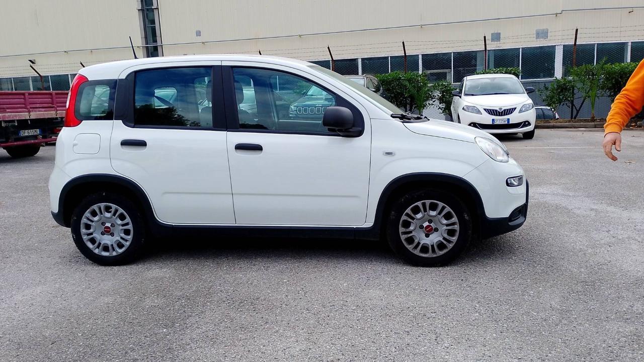 Fiat Fiat Panda usata 16