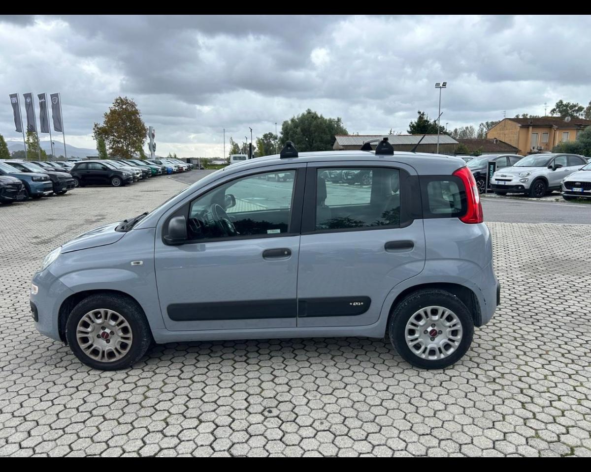 Fiat Fiat Panda usata, con Xenon-led