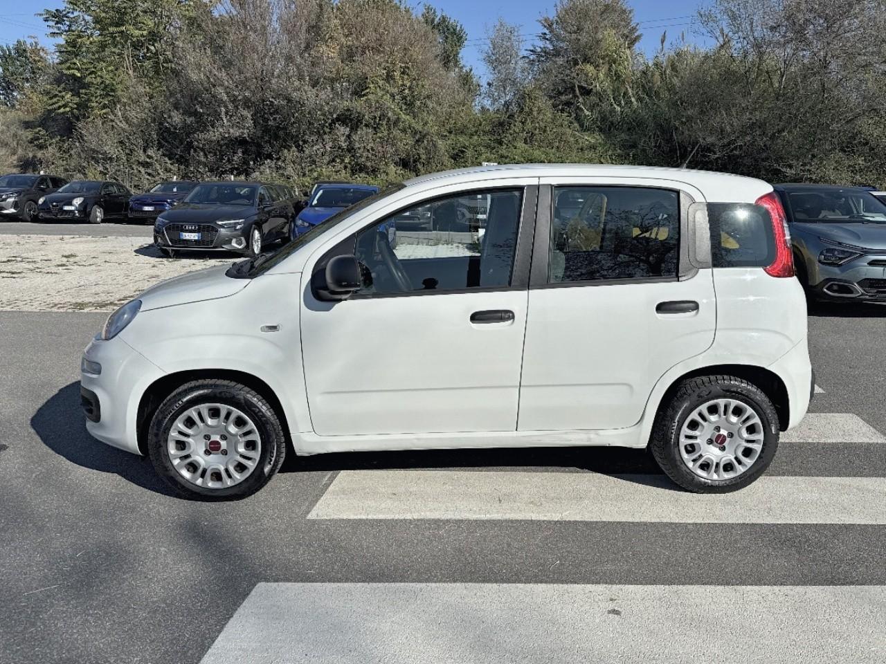 Fiat Fiat Panda usata, con Xenon-led