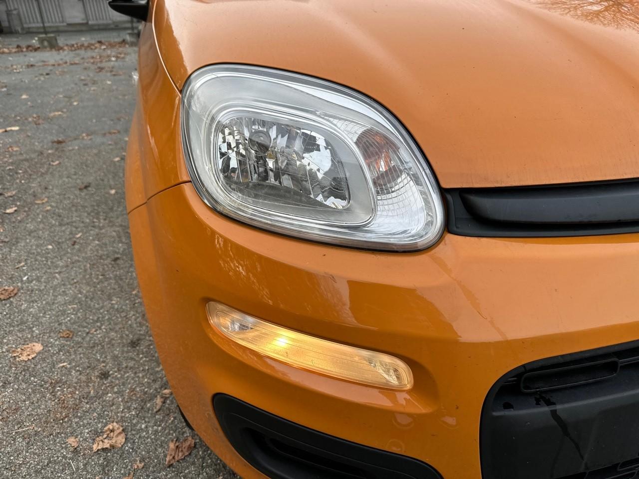 Fiat Fiat Panda usata 10