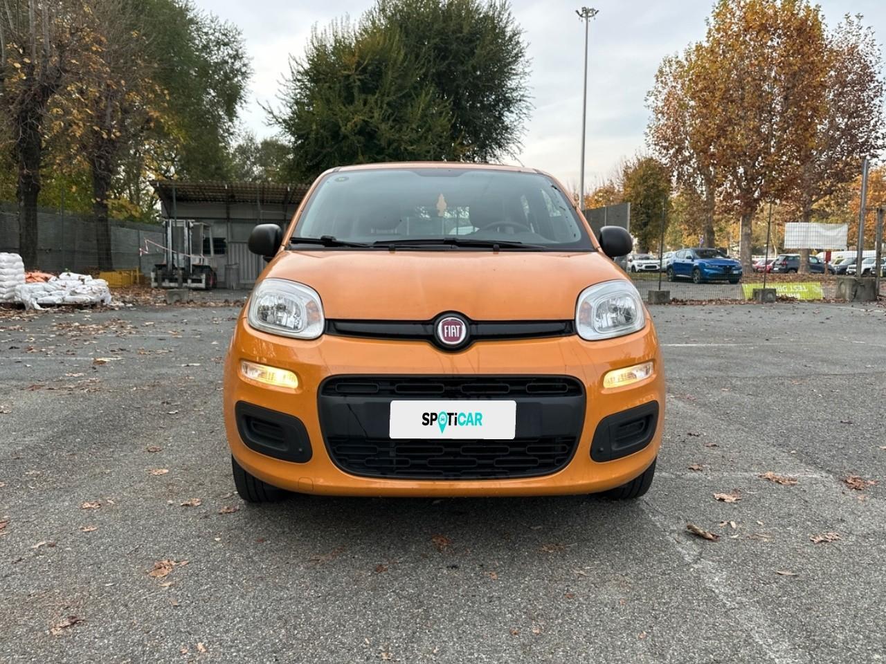 Fiat Fiat Panda usata 11