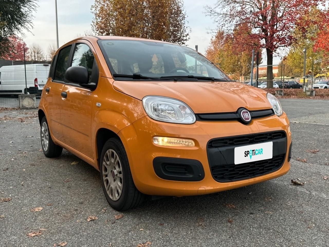 Fiat Fiat Panda usata 14