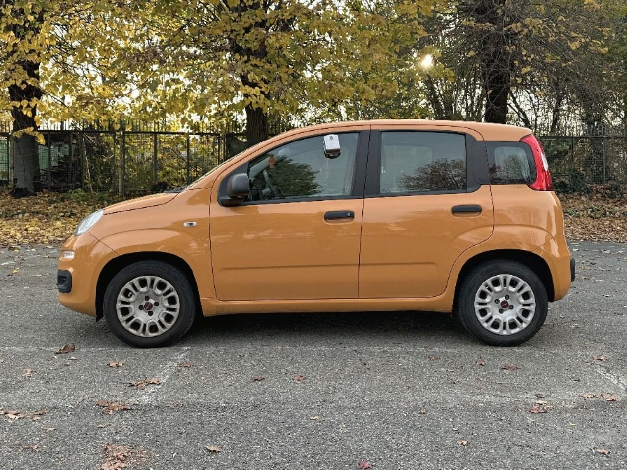 Fiat Fiat Panda usata 15