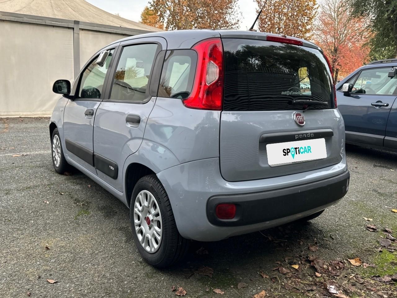 Fiat Fiat Panda usata 16