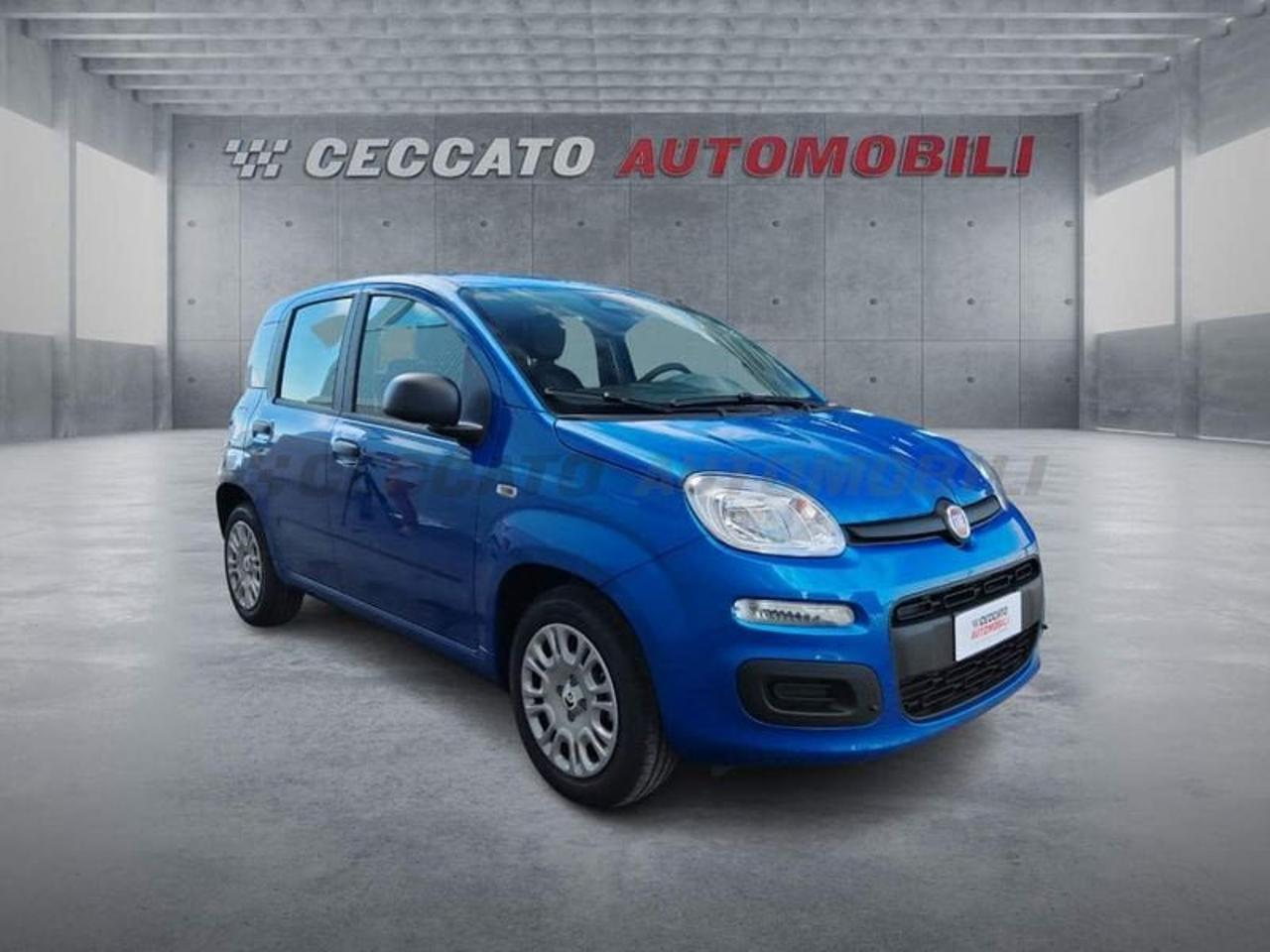 Fiat Fiat Panda usata 7