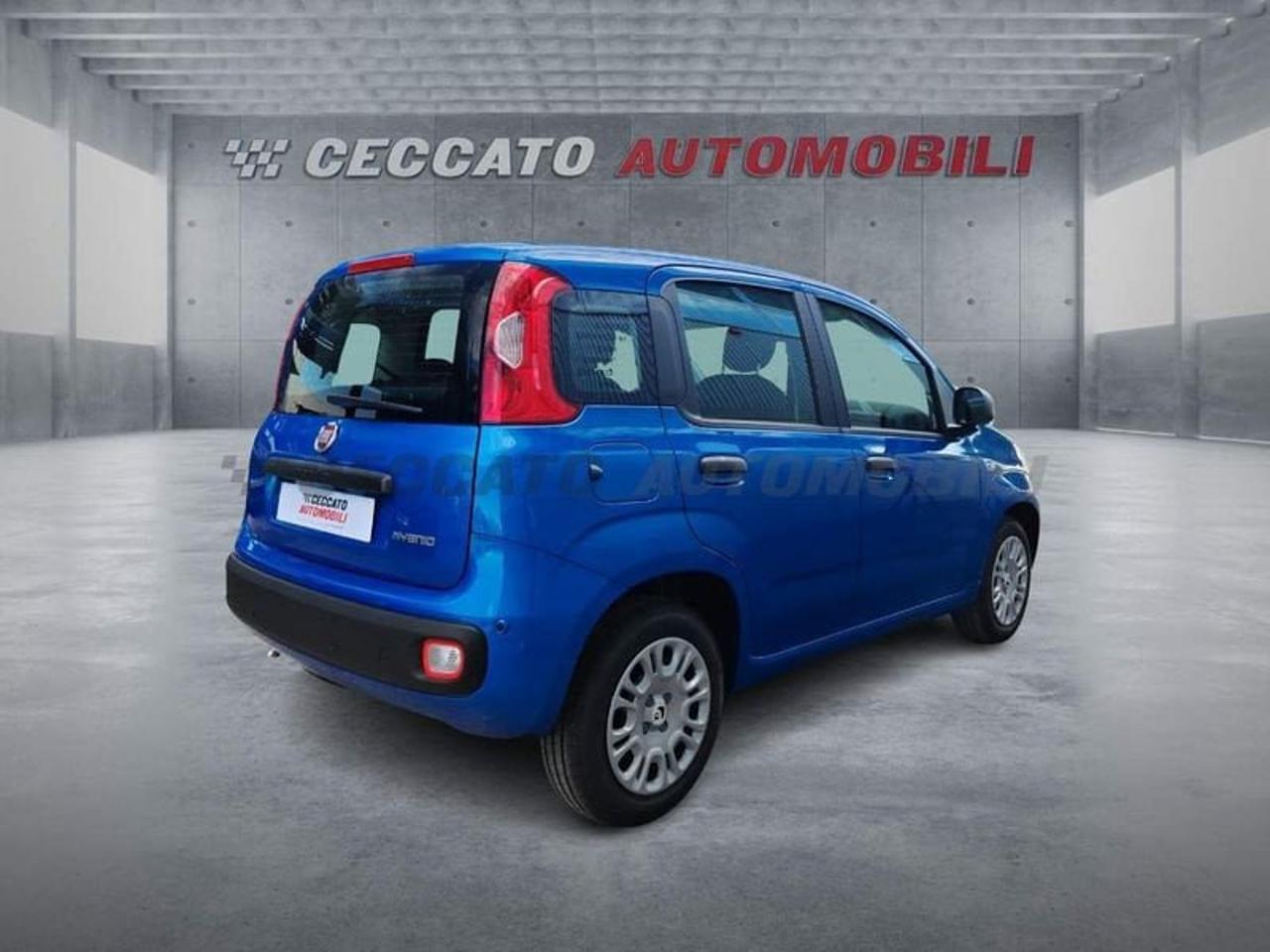 Fiat Fiat Panda usata 8