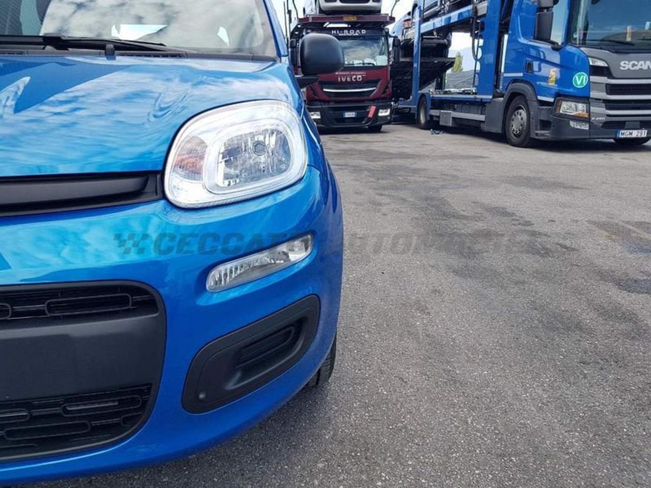 Fiat Fiat Panda usata 9