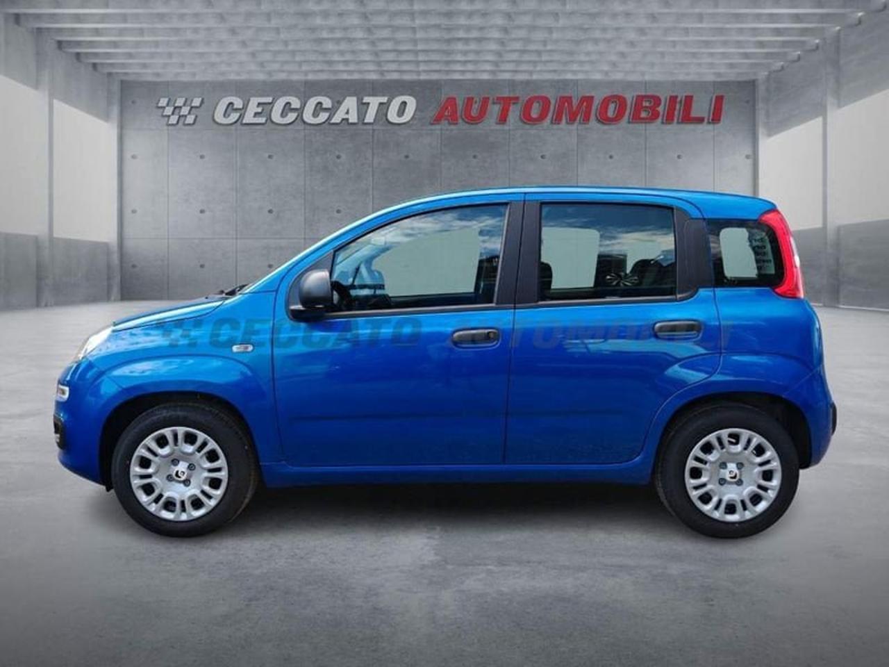 Fiat Fiat Panda usata 11