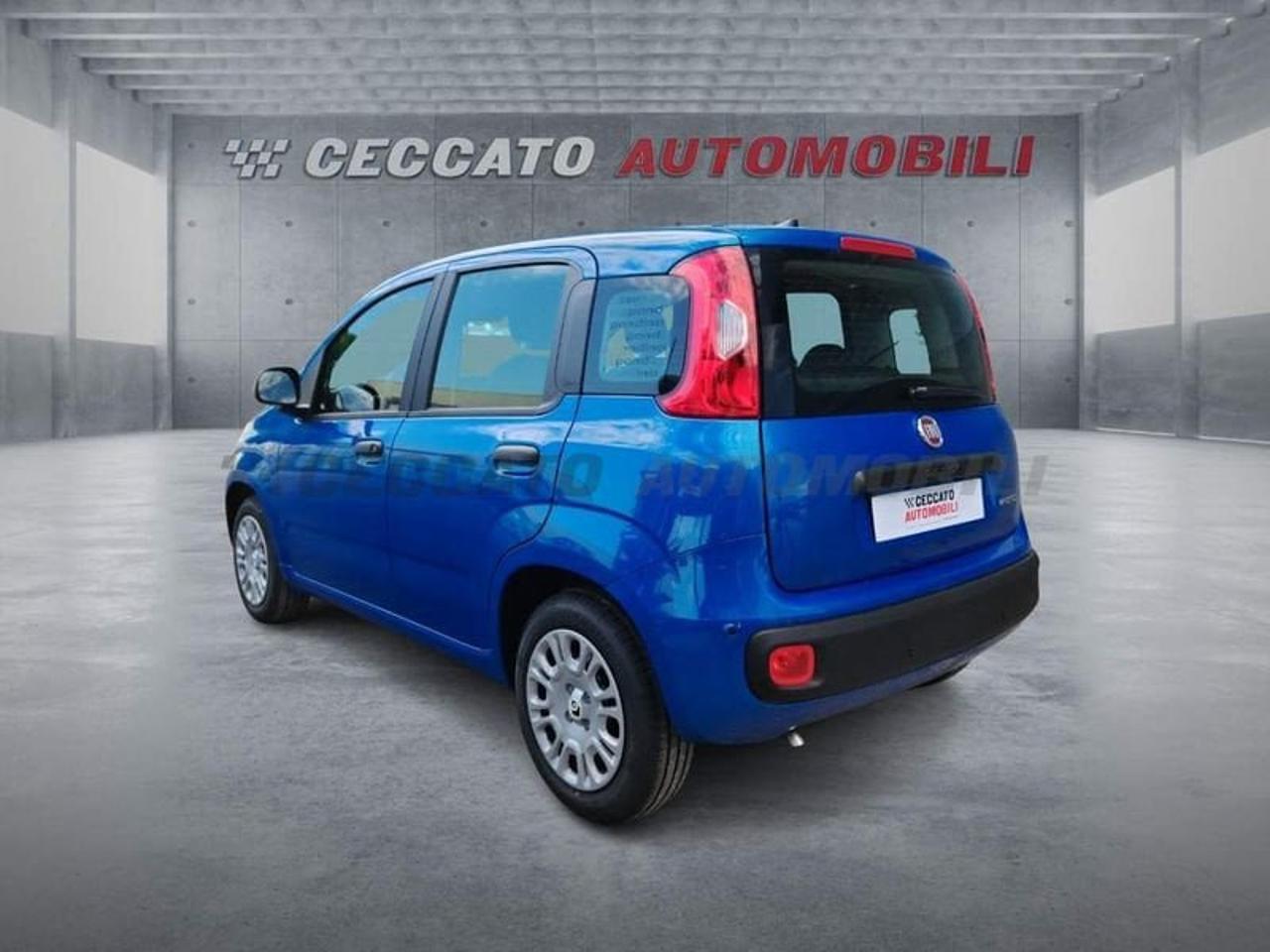 Fiat Fiat Panda usata 16