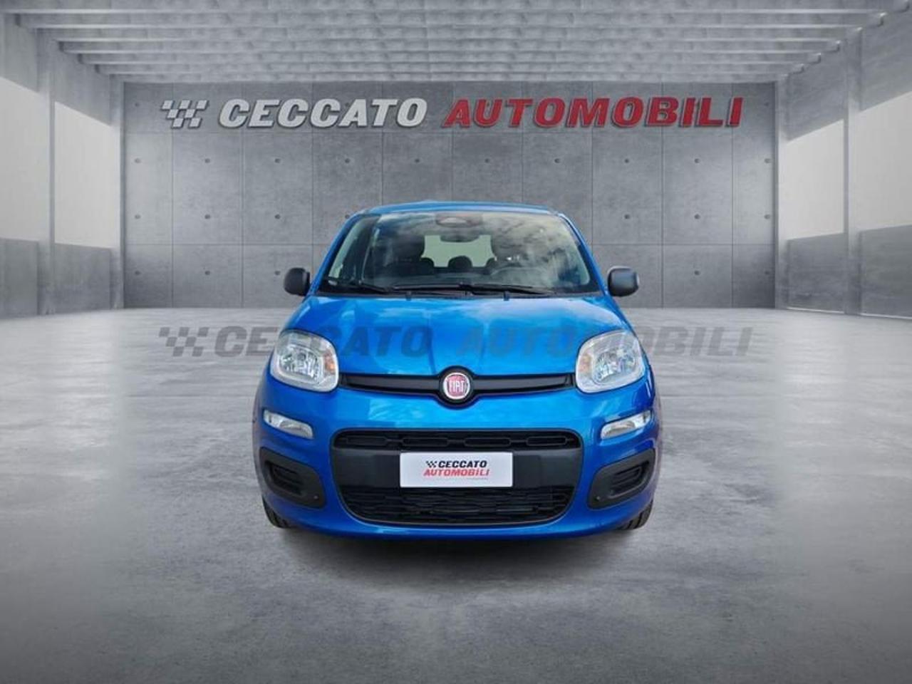 Fiat Fiat Panda usata 17